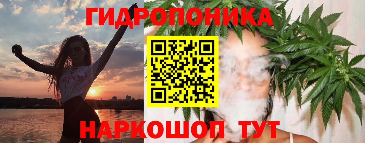 Бошки Шишки семена Югорск